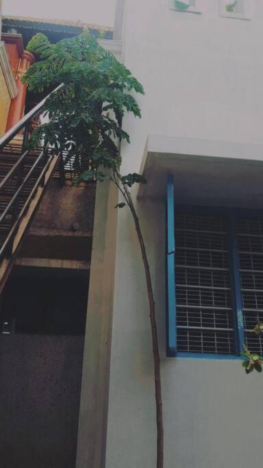 The Vintage House Villa Mysore Buitenkant foto