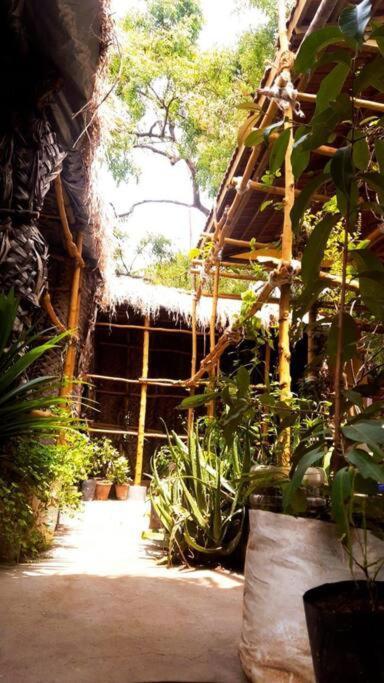 The Vintage House Villa Mysore Buitenkant foto